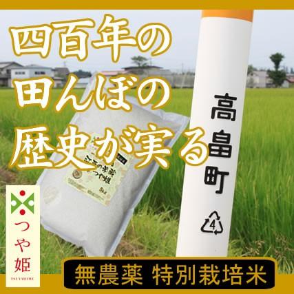 お米 5kg 新米 令和4年産 山形県産 つや姫 5kg 特別栽培米(減農薬米・減化学肥料米) 一等米 100%