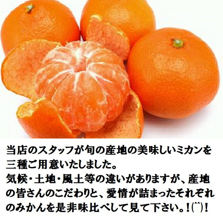 福袋　みかん 厳選 おまかせ  1kgづつ3袋＝計3kg 食べ比べ フルーツセット  御歳暮 九州 静岡 愛媛 和歌山