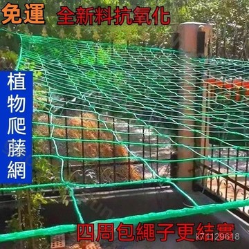 桃園發貨🚚園藝網搭架網栽培網 園藝植物爬藤網 百香果爬藤網 家庭園藝用網 植物爬藤網 蔞攀爬網 棚架網園藝