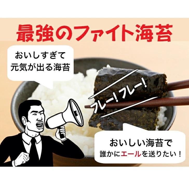 海苔 有明海苔 塩のり 8切160枚 俺のエール ファイト海苔 メール便送料無料 韓国のり風  味付海苔 味付けのり ごま油 訳あり海苔