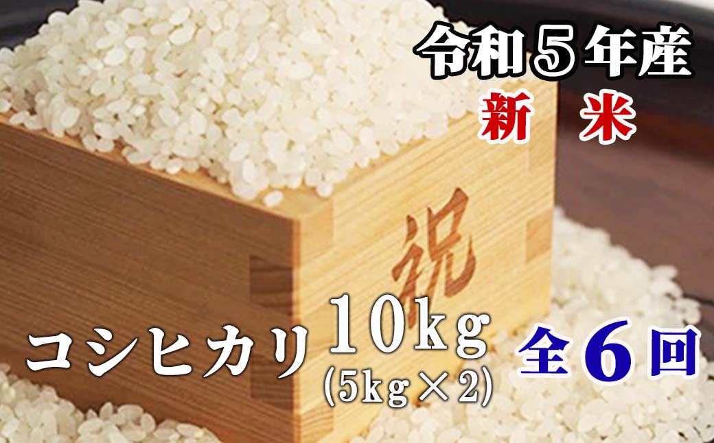 白米 10kg 令和5年産 コシヒカリ 岡山 「おおがや米」生産組合 G-ag-CCZA