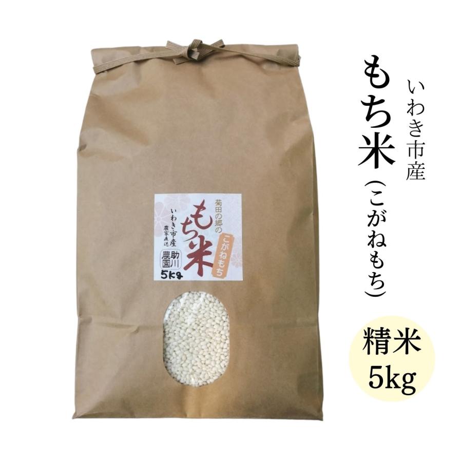 もち米　農家直送米　こがねもち　令和5年産新米　いわき市産　精米5kg　LINEショッピング