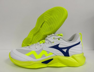 【大自在】MIZUNO 美津濃 男排球鞋 WAVE MOMENTUM PRO 避震 安定 V1GA254039