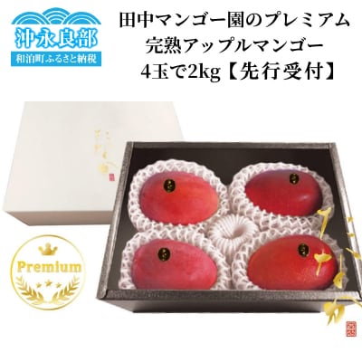 田中マンゴー園のプレミアム完熟アップルマンゴー 4玉で2キロ