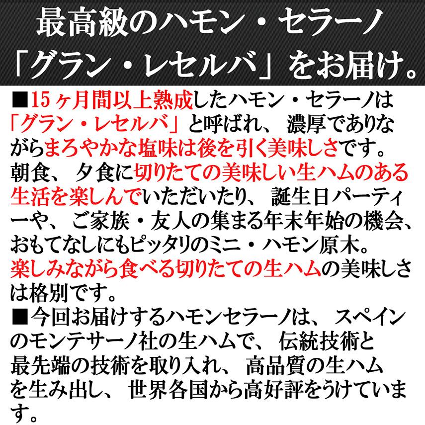 大人の贅沢 生ハム 原木 ミニ 約320g 18ヶ月熟成 ハモンセラーノ お歳暮 ハム ギフト ブロック お取り寄せ 高級