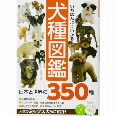 新絵でみる犬の構成と歩様 新絵でみる犬の構成と歩様 | 村田 祐子, 多賀 正 |本 | 通販