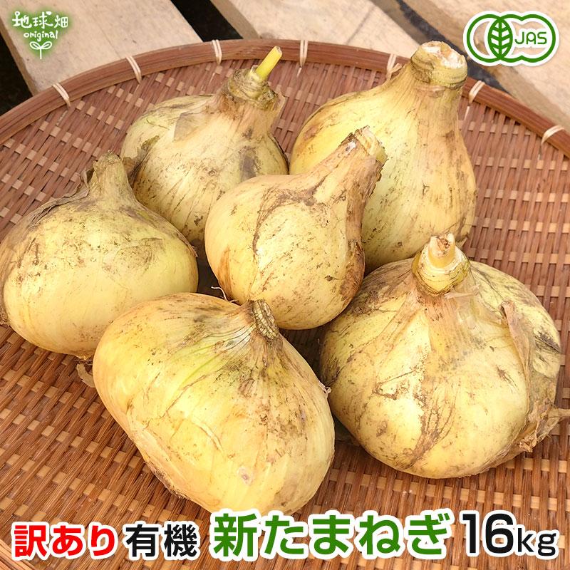 訳あり　大きさおまかせ　organic　鹿児島県産　オーガニック　有機JAS　新たまねぎ　まとめ買い　規格外　玉ねぎ　宮崎県産　有機栽培　16kg　業務用　onion　タマネギ　玉葱　LINEショッピング