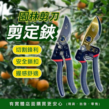 【現貨】園藝剪刀 花剪 剪定鋏 園林剪刀 修枝剪 樹枝剪 果樹剪 採果剪 園藝剪 盆栽鋏 園藝 五金 農用剪刀  柚柚的店