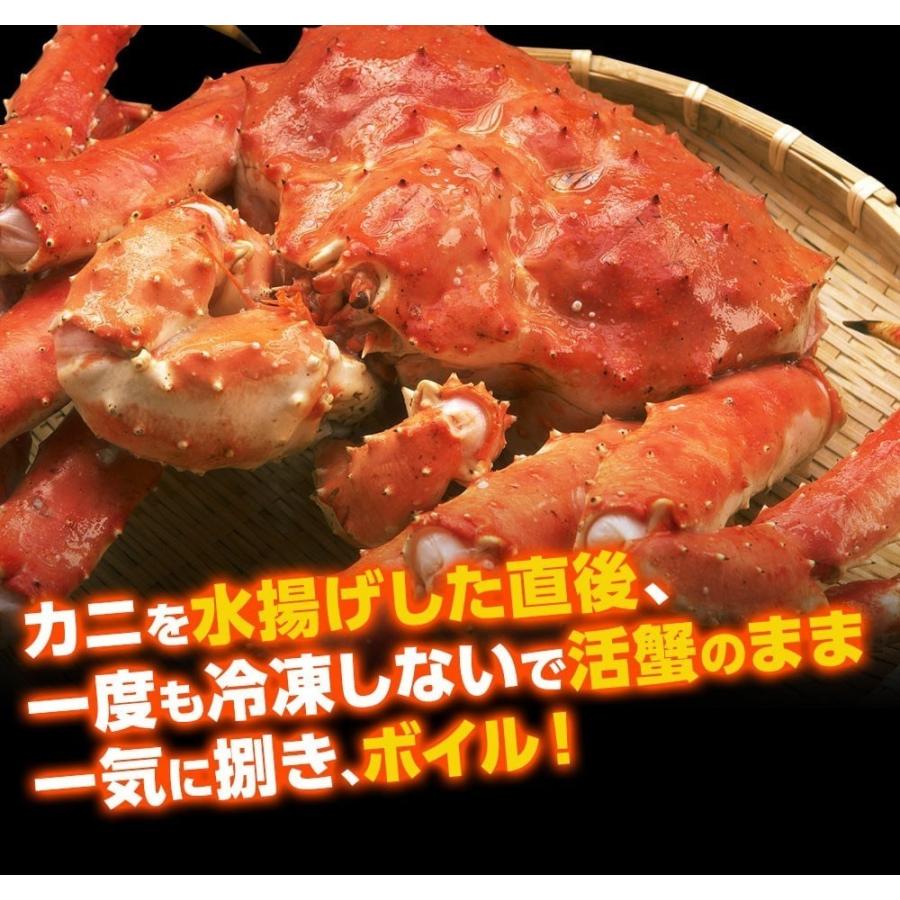 たらば タラバ カニ 蟹 総重量2kg 特大タラバ2肩 正味900g×2 正味1.8kg 4-6人前 タラバガニ オホーツク産 船内冷凍