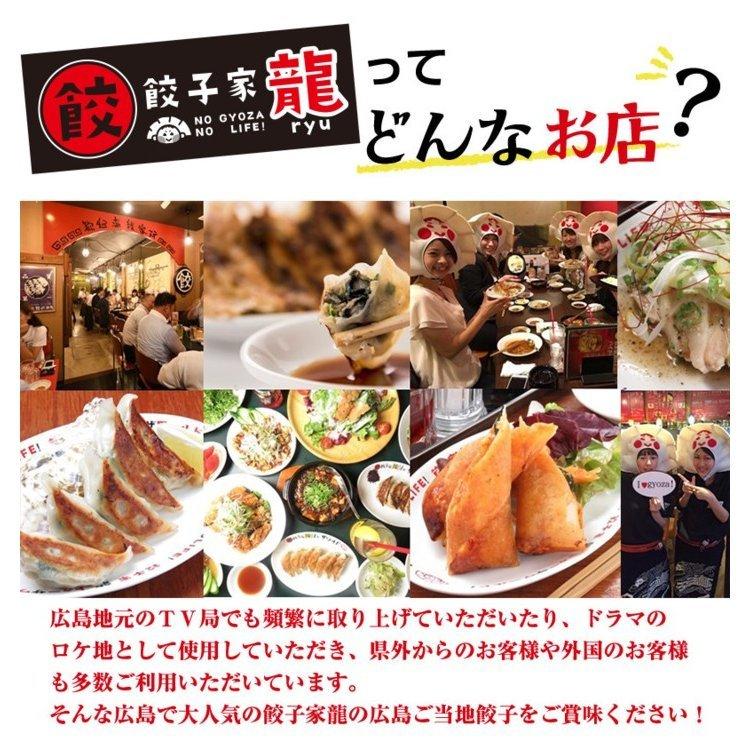 塩レモン餃子 20個入り 井辻食産株式会社(期日指定できません)