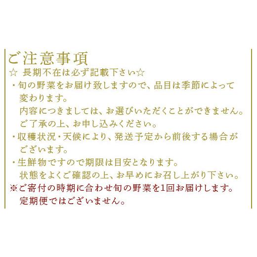 ふるさと納税 佐賀県 唐津市 野菜セット 新鮮とれたて旬の野菜 季節の野菜 詰合せ サラダ「2023年 令和5年」