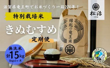 定期便 3ヶ月 きぬむすめ 無洗米 5kg 縁起の竜王米 特別栽培米 令和5年産  新米 ブランド米 無洗米 精米 計 15kg 定期便 3回 おこめ ご飯 270年続く お米 農家 ライス 環境 こだわり米 農家直送 ギフト 国産 滋賀県 竜王町 ふるさと納税