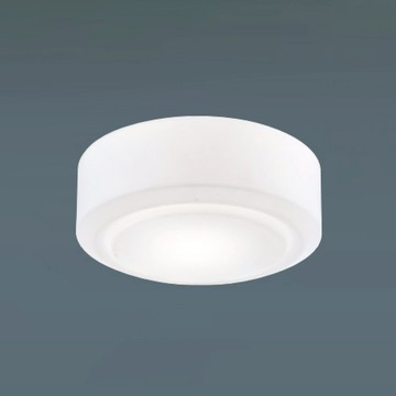 E27 白玉玻璃吸頂二燈 B102-13-6478D