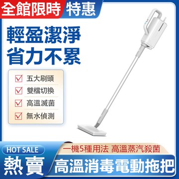 現貨110V家用多功能蒸汽清潔機 電動多功能 蒸汽拖把 蒸汽機 清潔機 蒸汽 清潔刷