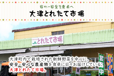 熊本県大津町産 季節の野菜セット(6～8種類)《60日以内に順次出荷(土日祝除く)》野菜 冷蔵 JA菊池 大津中央支所 とれたて市場---so_cozuyasai_60d_20_13500_8i---