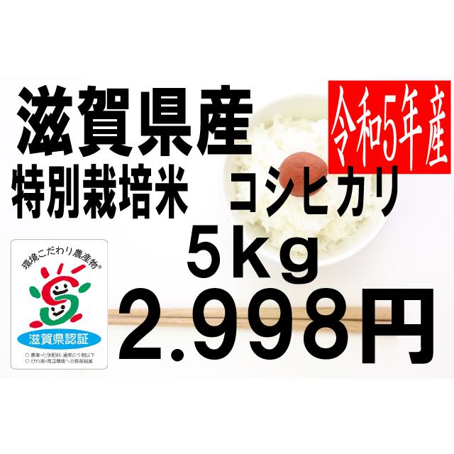 米　令和5年度産　滋賀県産　特別栽培米　コシヒカリ　5kg