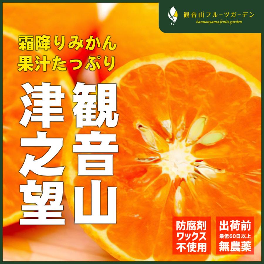 津之望 （つののぞみ） 霜降りみかん A級 7kg ノーワックス・ノー防腐剤 和歌山 観音山フルーツガーデン 送料無料