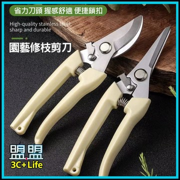 【隔日到貨】園藝修枝剪 不鏽鋼園藝剪刀 修枝剪 樹枝剪 採果剪 花剪 果樹剪 摘果剪 農用剪刀