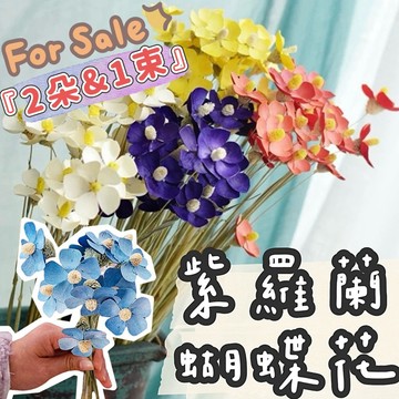 【璟采職人】紫羅蘭 乾燥花 蝴蝶花 手工乾燥花 瓜子花 手工花材 手作花藝 花禮裝飾 色彩花材 不凋花 永生花 仿真花