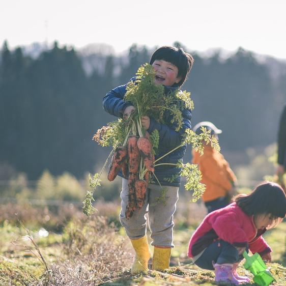 販売期間2024 01 31まで 野菜 セット・詰め合わせ 『子育て農家の野菜セット』　miniサイズ　6品目 産地直送