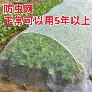 🥇臺灣熱賣🥇防蟲網種菜專用網60目防蟲罩加密紗網菜苗菜地果園網蔬菜防鳥罩