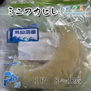 業務用 ふかひれ 国内産 ミニフカヒレ 10枚 １枚 8～12g 高級食材 中華料理 健康 美容