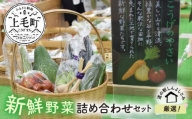 道の駅厳選！新鮮野菜詰め合わせセット　K03603