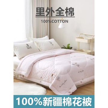 新疆棉花被子被芯春秋被棉絮學生宿舍單人被子冬被雙人棉被芯純棉