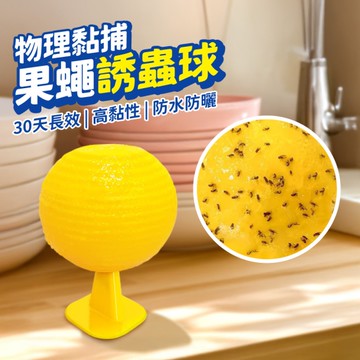 果蠅黏蟲球 誘蠅球 捕蠅器 超黏捕蠅球 黏蒼蠅球 果蠅球 滅果蠅 黏果蠅 黏蒼蠅 蒼蠅貼