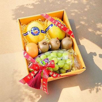 水果生果禮籃 果籃 商務禮盒 GF00265