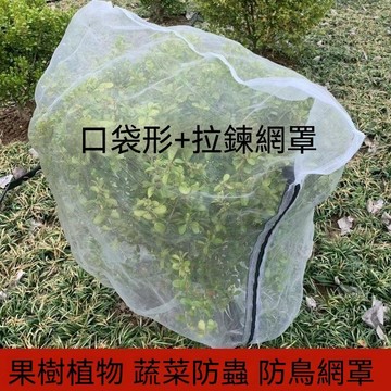🏆臺灣熱賣好物🏆果樹防蟲網罩 大棚蓮霧桃樹櫻桃植物瓜果網袋 加拉鍊 防蟲網罩 蓮霧 櫻桃 楊梅 藍莓 果樹防鳥 防果蠅