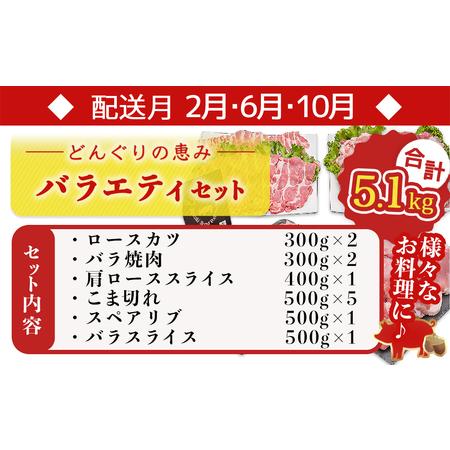 ふるさと納税 「どんぐりの恵み豚」お肉満載定期便(5ヶ月)_T60（5）-1102_(都城市) 万能スライスセット バラエティセット こま切れセット しゃぶ.. 宮崎県都城市