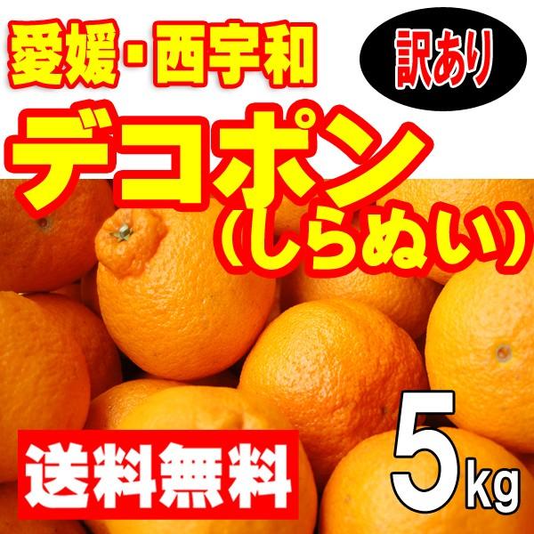 愛媛西宇和産　デコポン（しらぬひ）　訳あり家庭用　送料無料　５ｋｇ