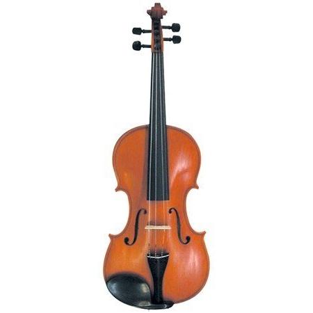 Gliga Vasile Genial Violin