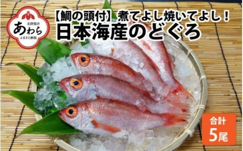 煮てよし焼いてよし！ 日本海産のどぐろ 5パック ／  高級魚 ビール 煮魚 焼き魚 おつまみ 魚介類 海の幸 国産 個包装 お取り寄せ