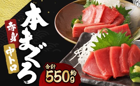 長崎県産 本マグロ2種盛り「中トロ・赤身」約550g