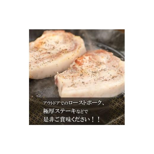 ふるさと納税 山形県 鶴岡市 鶴岡産 豚ロース ブロック肉 約4kg (約2kg×2本） 「成澤さん家のめごとん」 豚肉