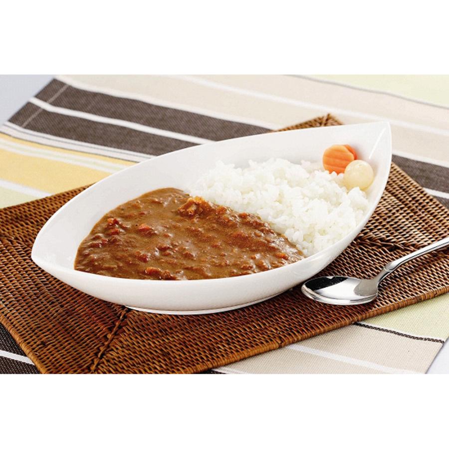 信州産カレーセット　 レトルトカレー　送料無料