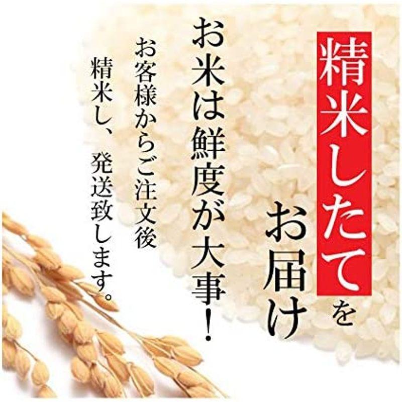 新米 新潟県産 新之助 受注精米 (10kg(2kgx5))令和4年産