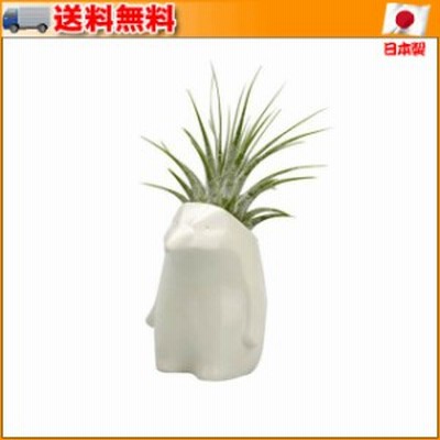 Plant's animal プランツアニマル イワトビペンギン ホイップ(白) ▼手のひらサイズで可愛らしい