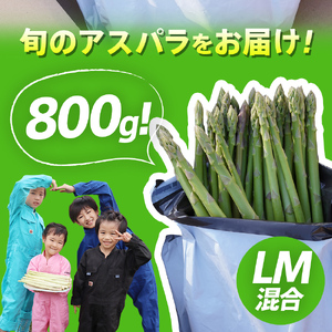 朝採り直送　春芽グリーンアスパラガス（LM混合）800g　BT10