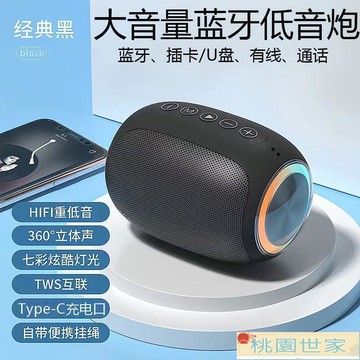 音響 小音響 TYPEC接口音箱低音炮大音量插卡戶外超長續航