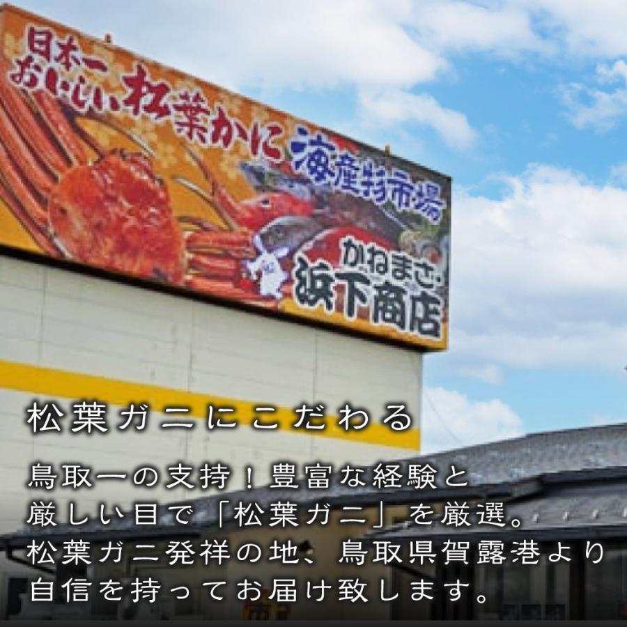 松葉ガニ ギフト 活 ボイル タグ付き 約650g 1枚 姿 ズワイガニ かに カニ 松葉蟹 生きたまま 松葉がに 産地直送 鳥取 送料無料（北海道・沖縄を除く）