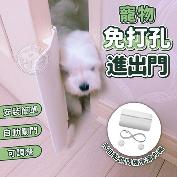 【小狐狸寵物】🎉新品上架🎉 寵物免打孔進出門 貓門 狗門 狗洞 貓洞 寵物進出門 進出門 自動門 免鑽孔