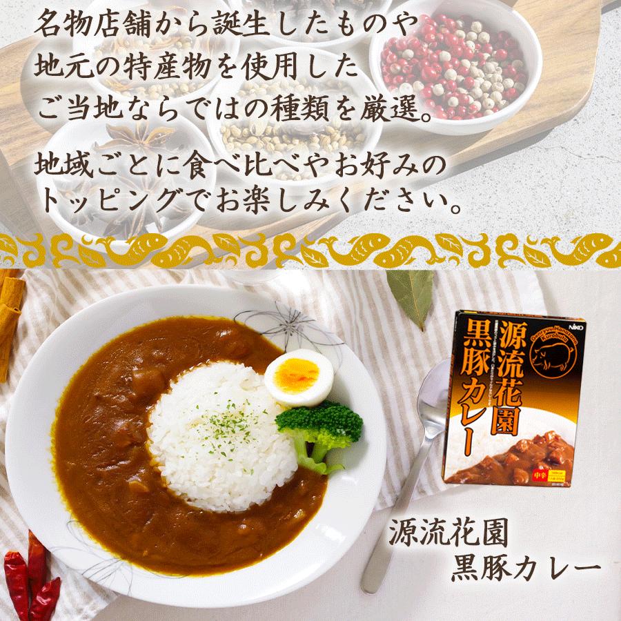 ご当地カレーとラーメン10種セット東日本選抜　レトルトカレー 名店ラーメン ギフト 2023