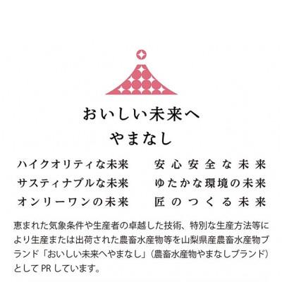 ふるさと納税 笛吹市 山梨県産「厳選桃」5玉(贈答品)