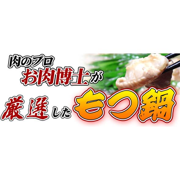 もつ鍋 取り寄せ 黒毛和牛 もつ鍋セット (2〜3人前) ホルモン500g スープ セット もつ鍋 モツ鍋 お試し お取り寄せ グルメ