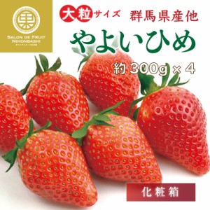 [予約 2024年1月5日-1月30日の納品] やよいひめ 2L 3L 約300g×4 群馬県産ほか いちご