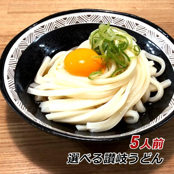 讃岐うどん 半生 亀城庵 香川 ツルっと亀〜る 120g×5人前 お試し 讃匠 ぶっかけ かけうどん ざるうどん 産地直送 メール便 送料無料