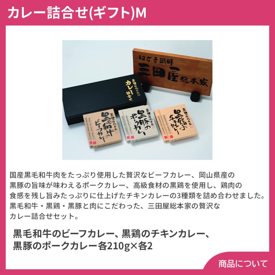 三田屋総本家 カレー詰合せ(ギフト)M プレゼント ギフト 内祝 御祝 贈答用 送料無料 お歳暮 御歳暮 お中元 御中元